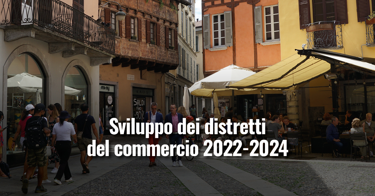 Immagine di copertina per Sviluppo dei Distretti del Commercio 2022-2024: bando per la concessione di contributi a fondo perduto